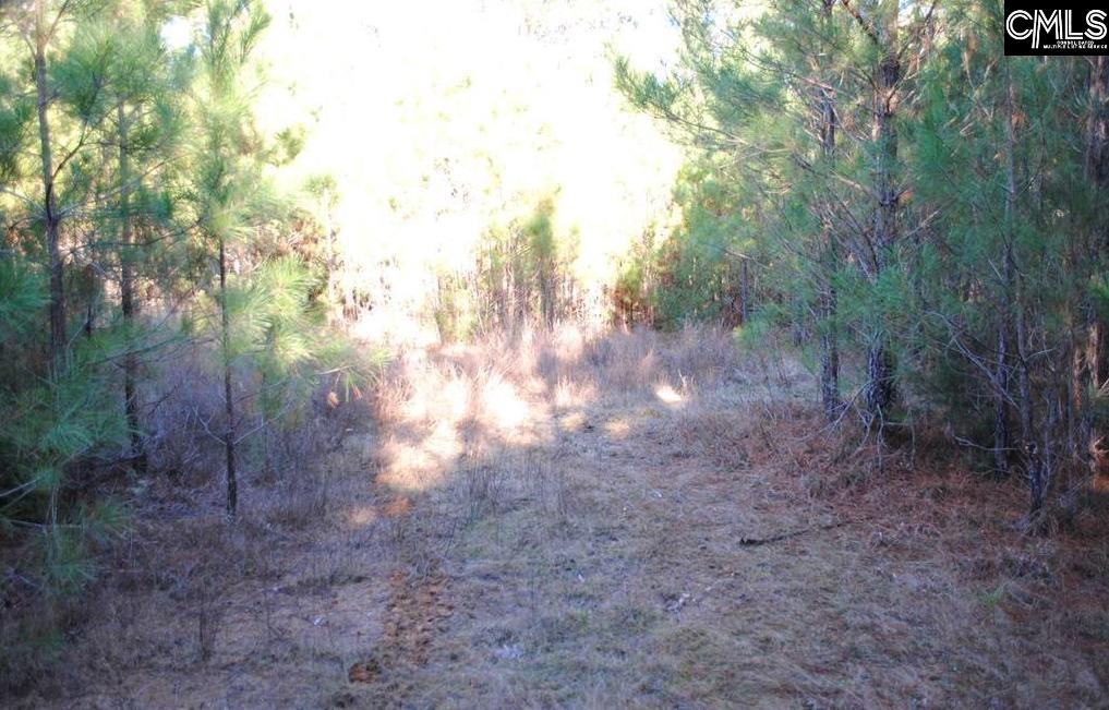 E/S Old Hilton Road Chapin, SC 29036