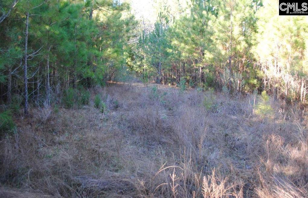 E/S Old Hilton Road Chapin, SC 29036