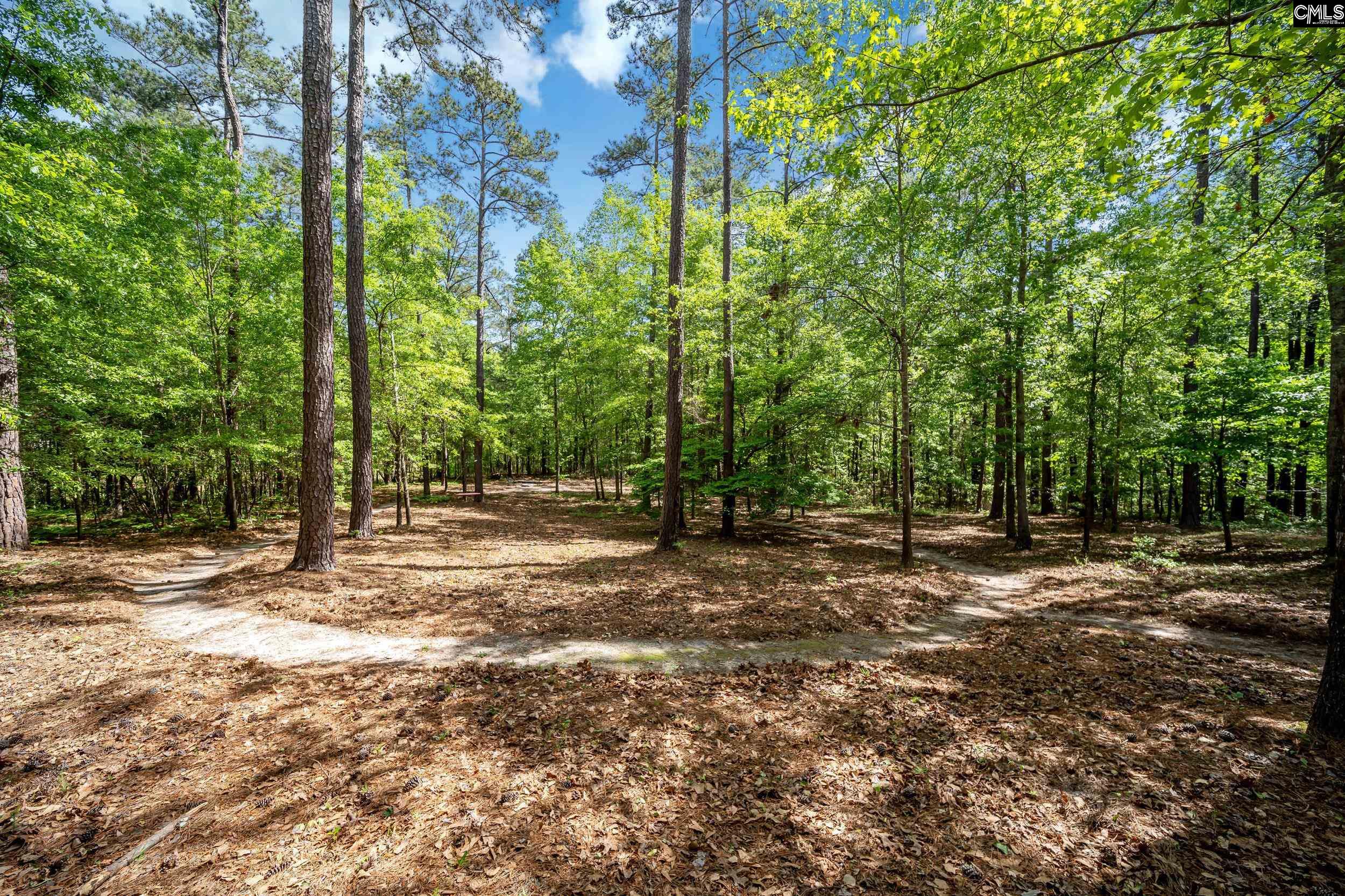 6 Black Oak Court, Blythewood, South Carolina image 37