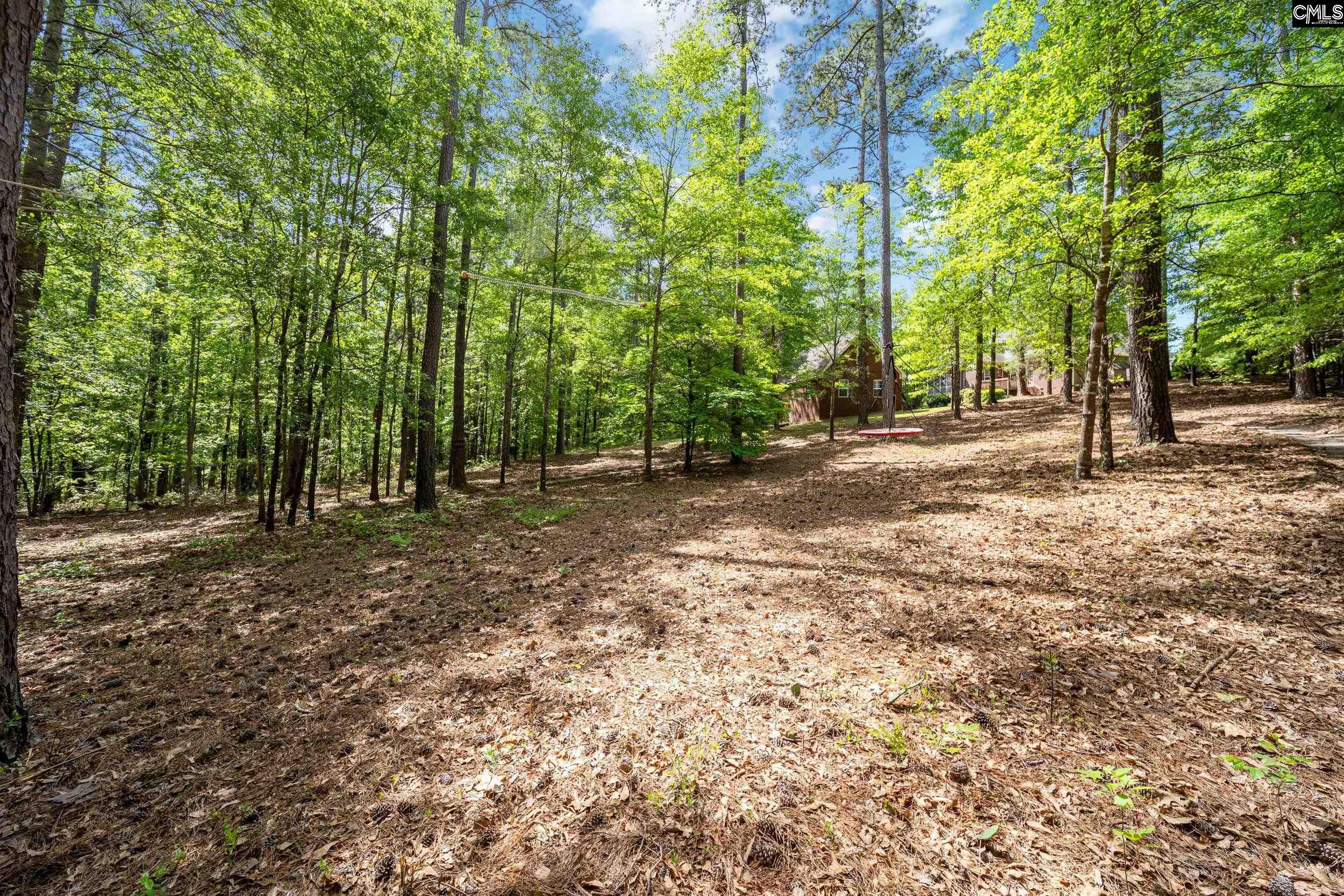 6 Black Oak Court, Blythewood, South Carolina image 38