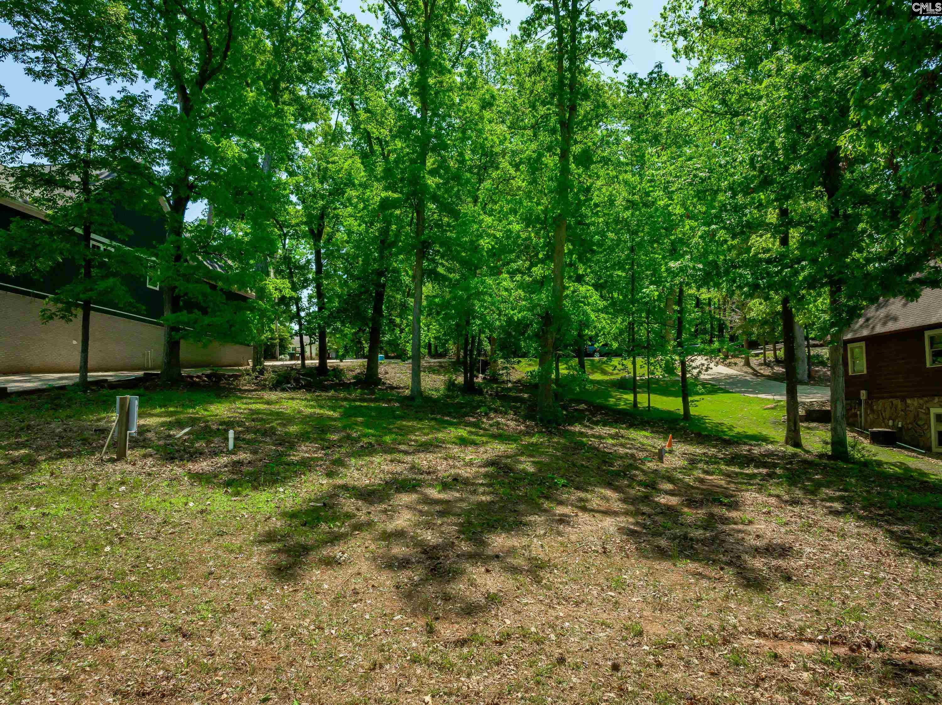 1172 Langford, Leesville, South Carolina image 11