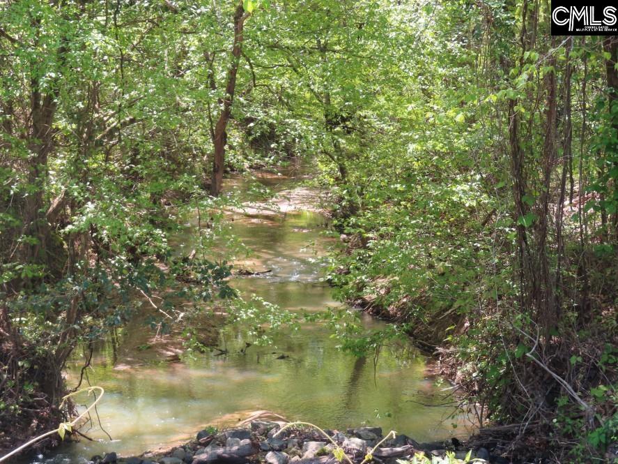Saluda River Road, Silverstreet, South Carolina image 11