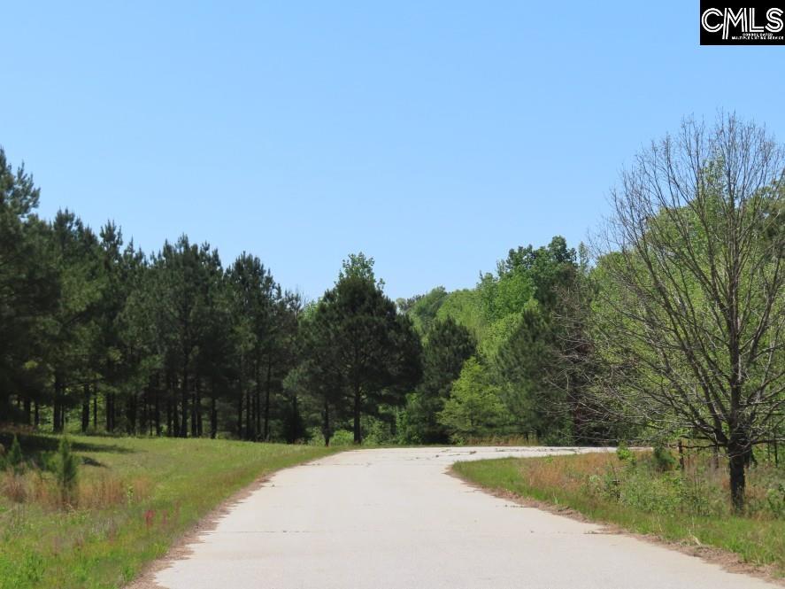 Saluda River Road, Silverstreet, South Carolina image 12