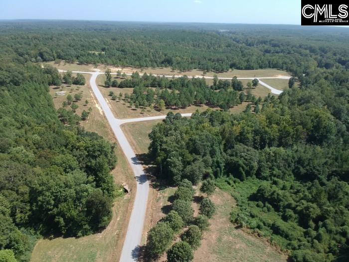 Saluda River Road, Silverstreet, South Carolina image 13