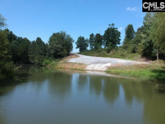 Saluda River Road, Silverstreet, South Carolina image 14
