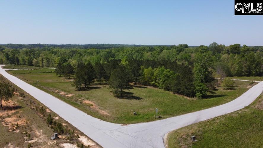 Saluda River Road, Silverstreet, South Carolina image 15