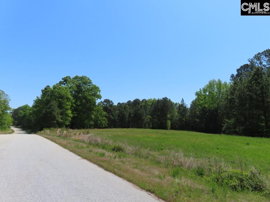 Saluda River Road, Silverstreet, South Carolina image 18