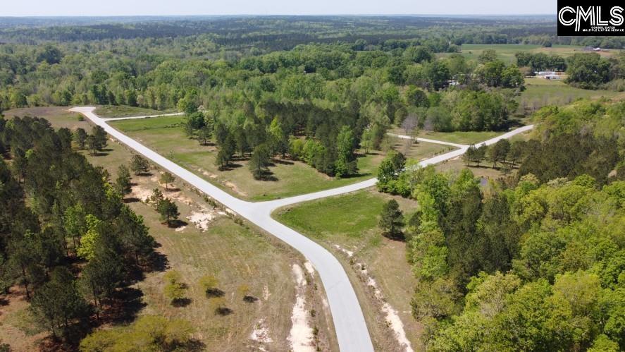 Saluda River Road, Silverstreet, South Carolina image 19