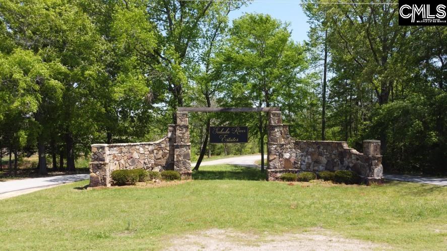 Saluda River Road, Silverstreet, South Carolina image 20