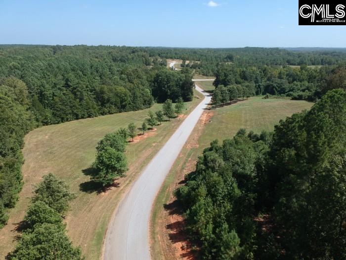 Saluda River Road, Silverstreet, South Carolina image 3