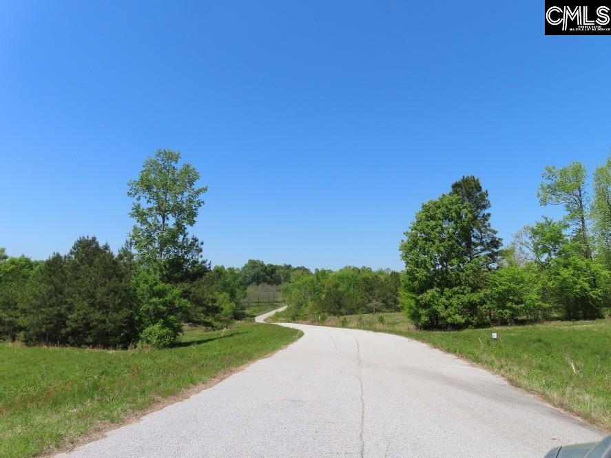 Saluda River Road, Silverstreet, South Carolina image 28