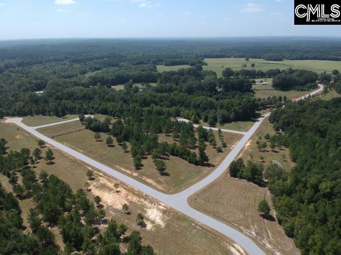 Saluda River Road, Silverstreet, South Carolina image 29