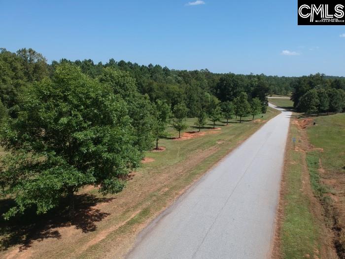 Saluda River Road, Silverstreet, South Carolina image 34