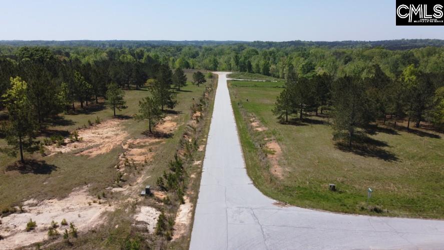 Saluda River Road, Silverstreet, South Carolina image 37