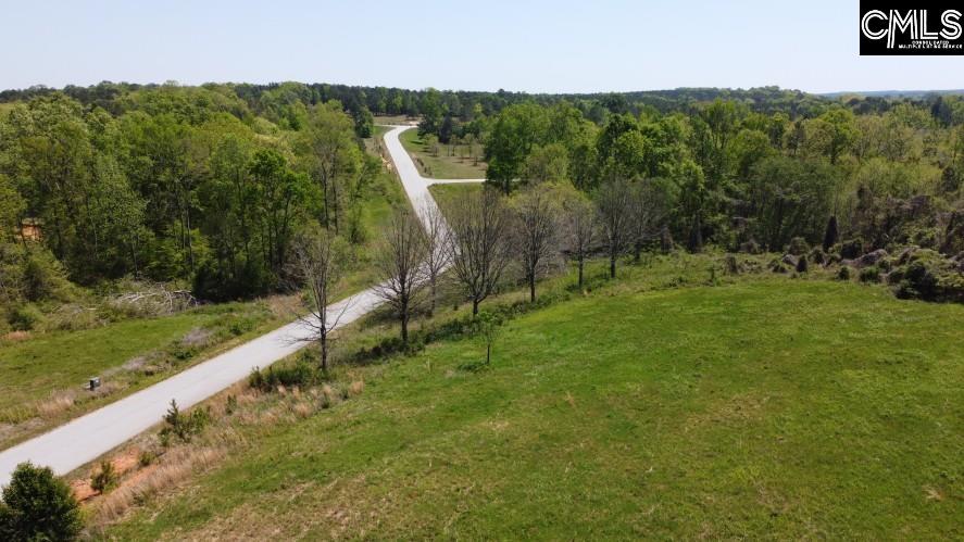 Saluda River Road, Silverstreet, South Carolina image 38
