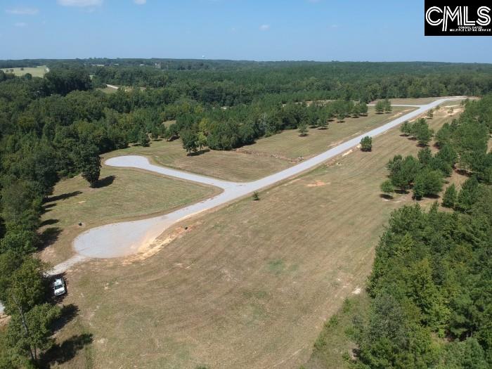 Saluda River Road, Silverstreet, South Carolina image 40