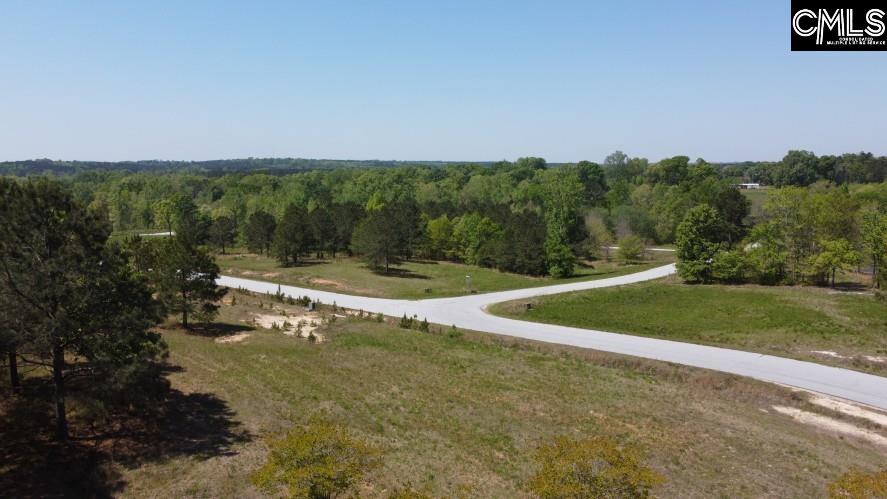 Saluda River Road, Silverstreet, South Carolina image 42