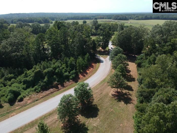 Saluda River Road, Silverstreet, South Carolina image 43