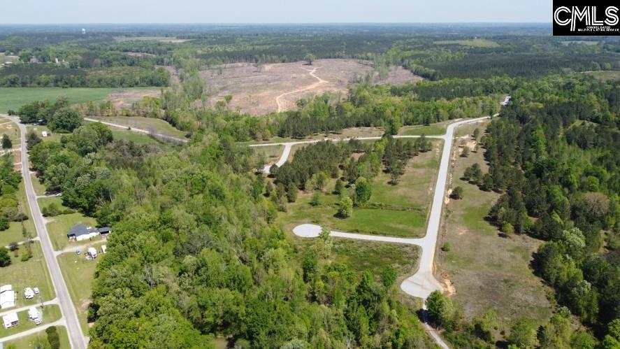 Saluda River Road, Silverstreet, South Carolina image 44