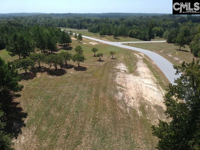 Saluda River Road, Silverstreet, South Carolina image 45