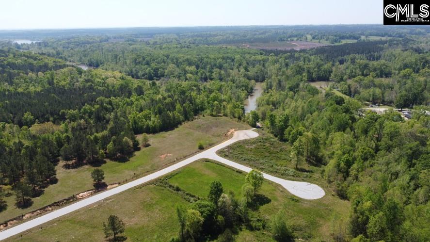 Saluda River Road, Silverstreet, South Carolina image 46