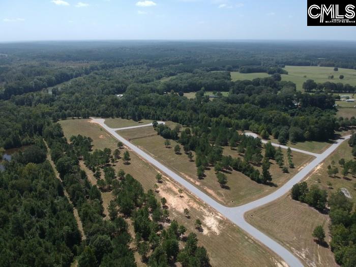 Saluda River Road, Silverstreet, South Carolina image 47