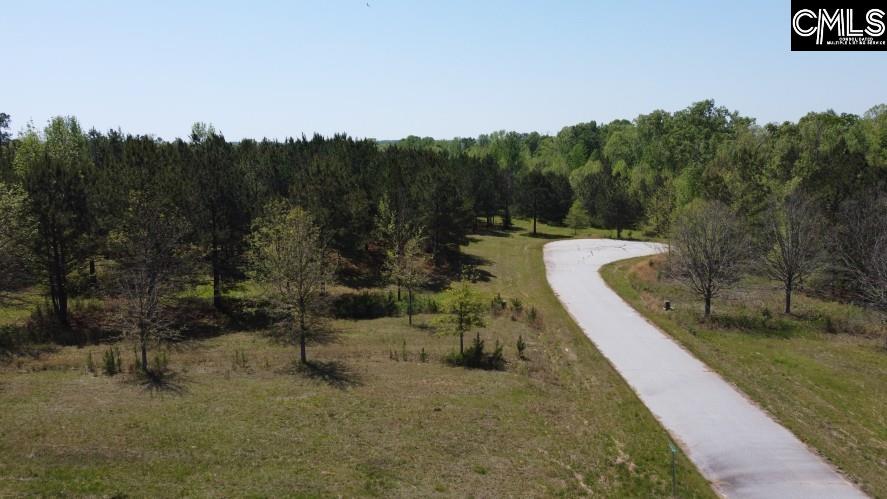 Saluda River Road, Silverstreet, South Carolina image 8