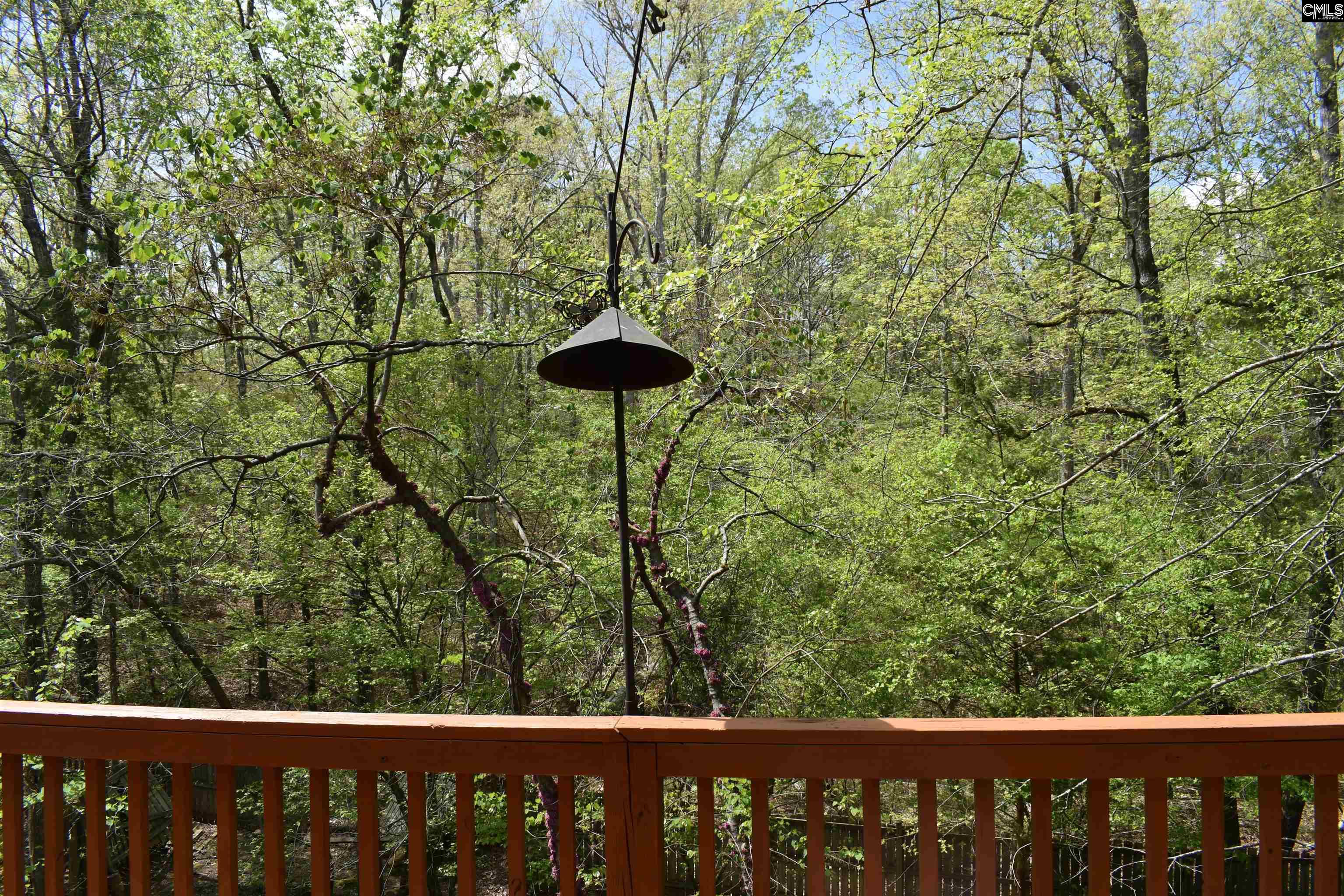 317 Genessee Road, Irmo, South Carolina image 16