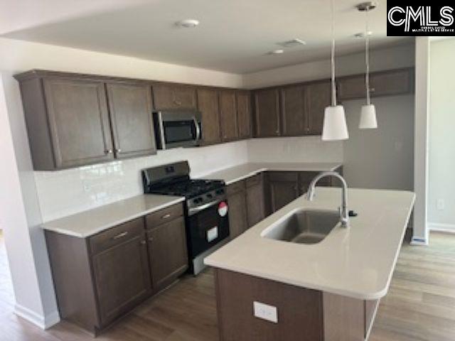 735 Clementine Run, Gilbert, South Carolina image 2