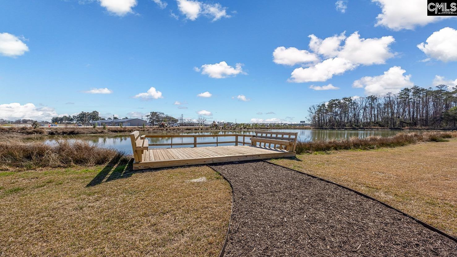 321 Babcock Way, Gilbert, South Carolina image 2