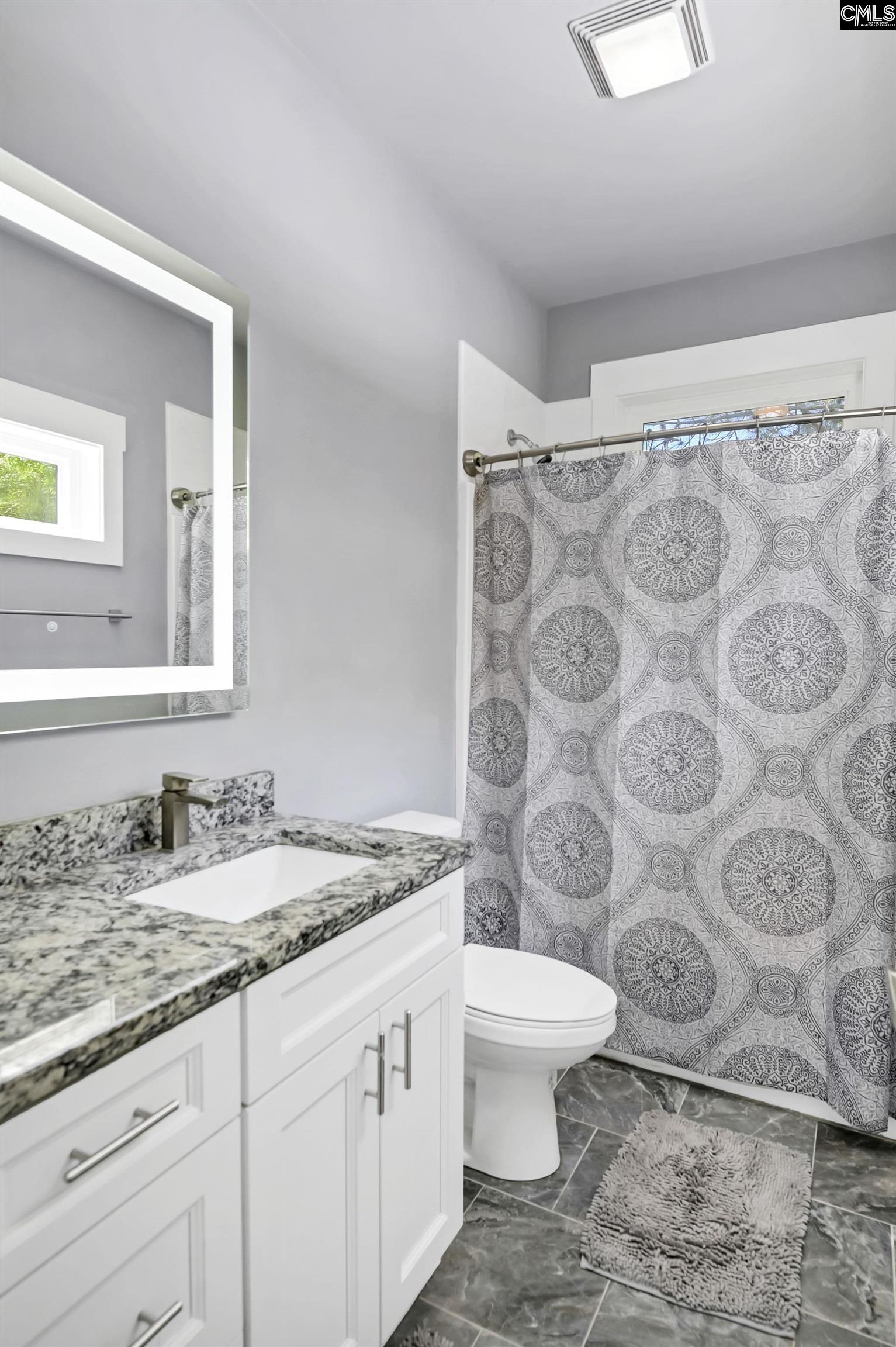 806 Green Meadow Drive Chapin, SC 29036