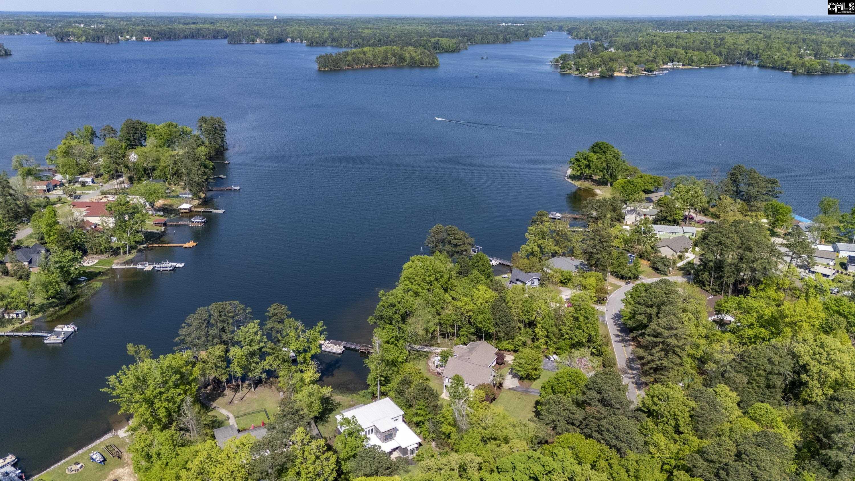 806 Green Meadow Drive, Chapin, South Carolina image 5