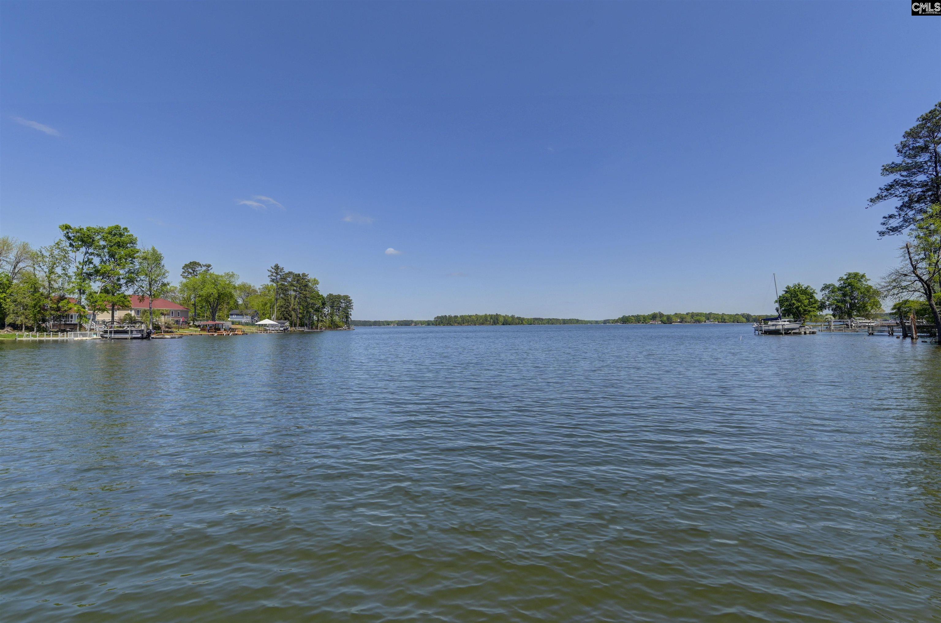 806 Green Meadow Drive, Chapin, South Carolina image 6