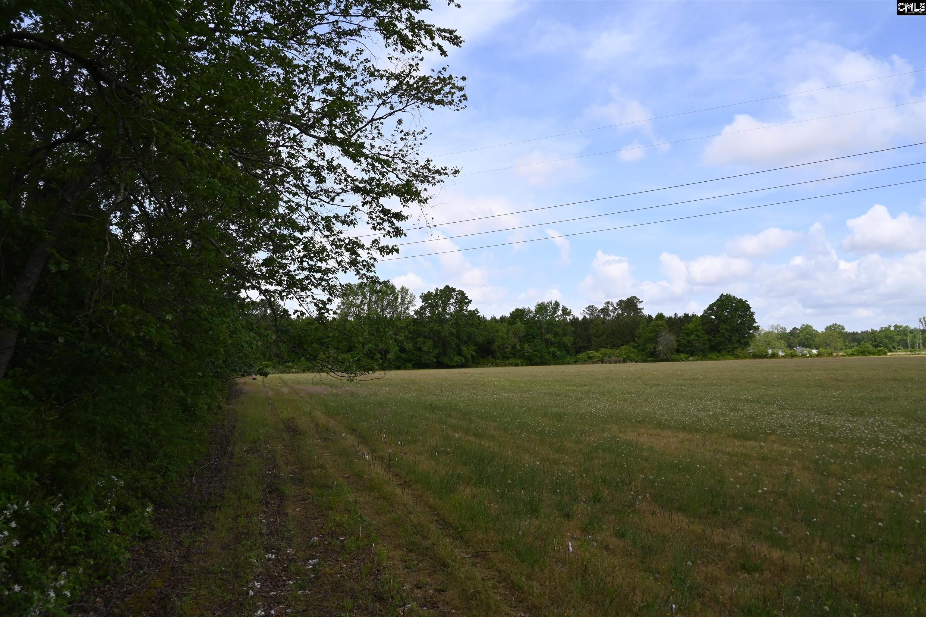 TBD Gallowaytown Road, Hartsville, South Carolina image 21