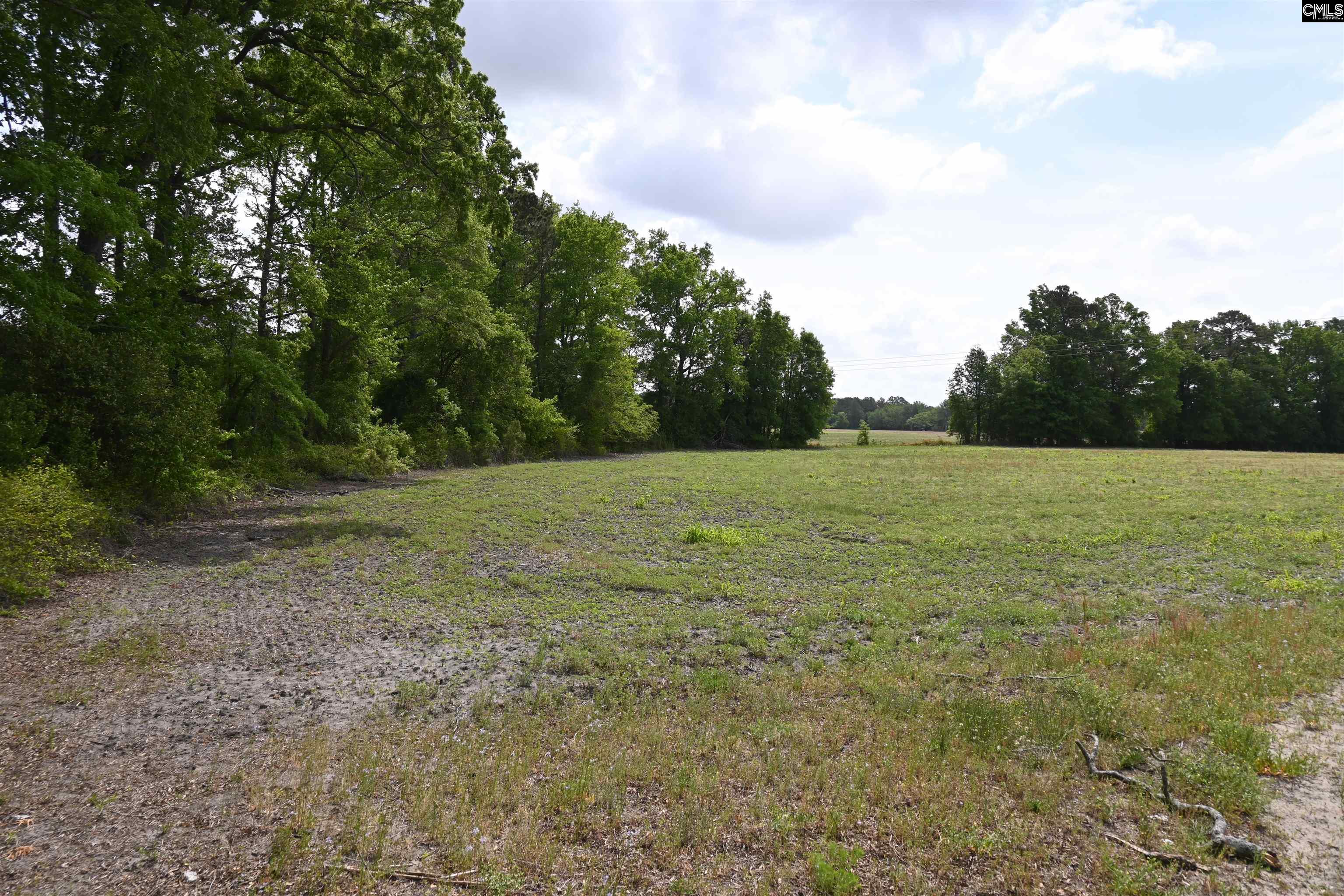TBD Gallowaytown Road, Hartsville, South Carolina image 25