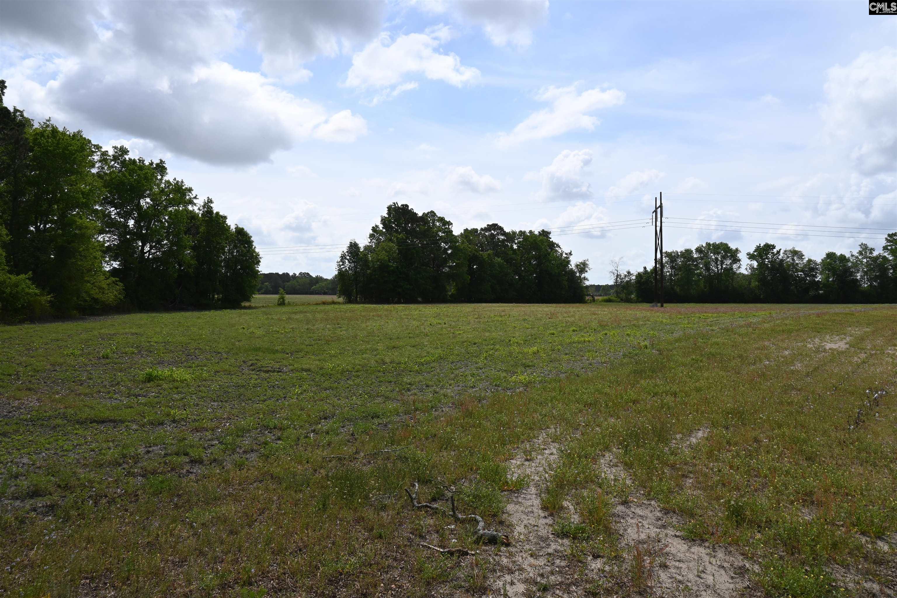 TBD Gallowaytown Road, Hartsville, South Carolina image 26