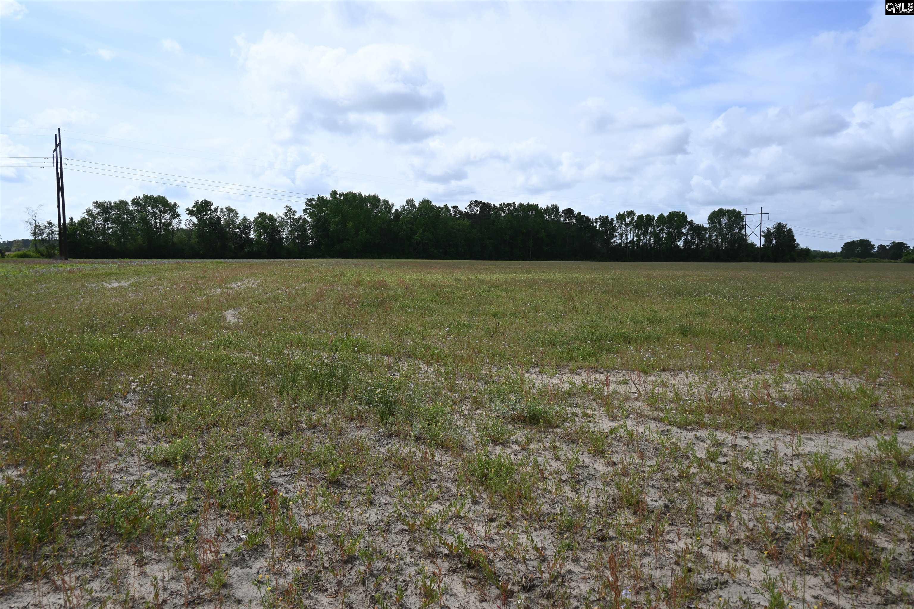 TBD Gallowaytown Road, Hartsville, South Carolina image 30