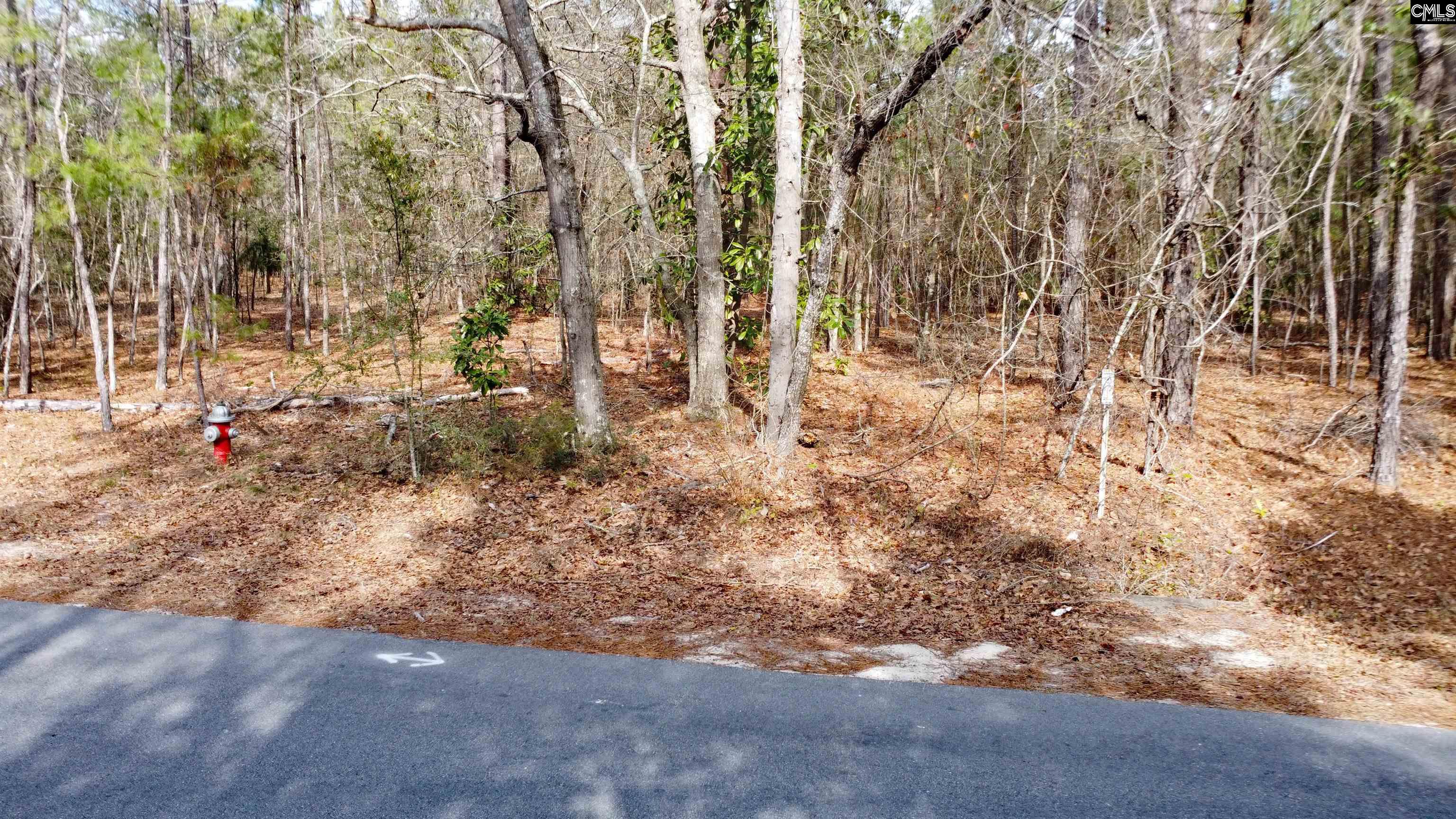 Timberline Dr Lot B Camden, SC 29229