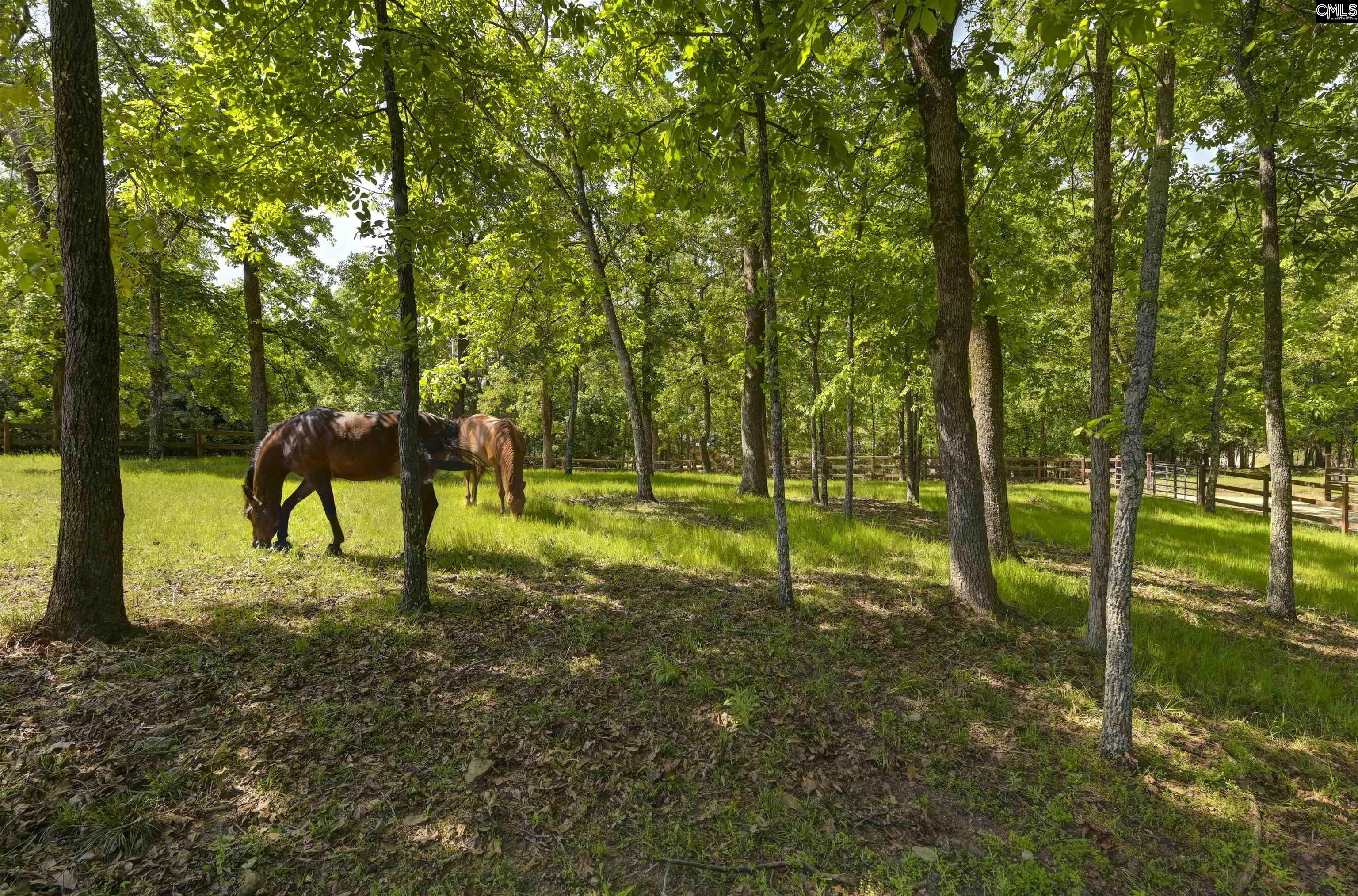 1305 Rock Island Road Gilbert, SC 29054
