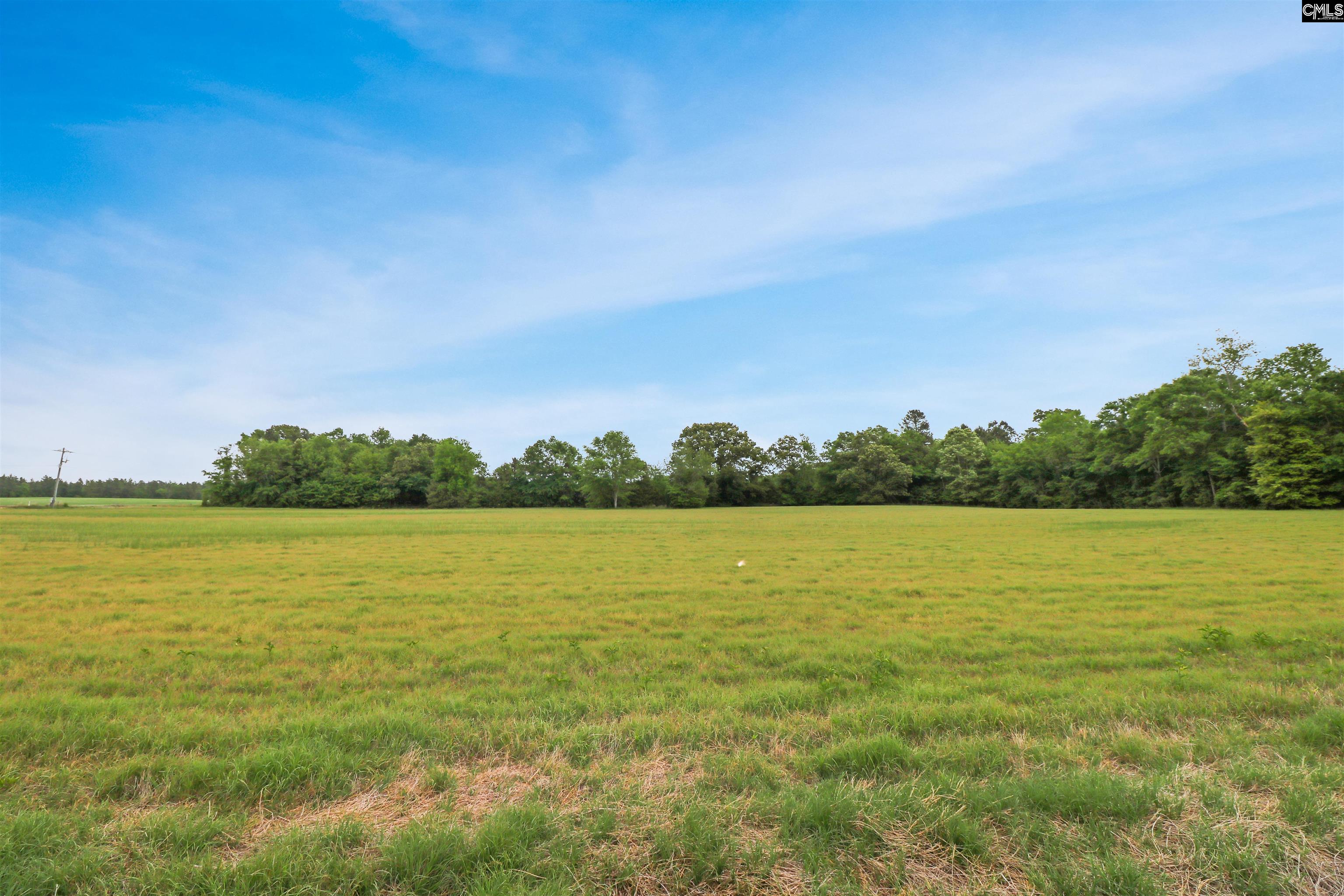 Old Charleston Road, Gilbert, South Carolina image 1