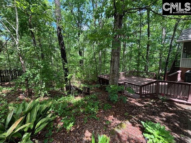 117 Locklier Drive, Blythewood, South Carolina image 33