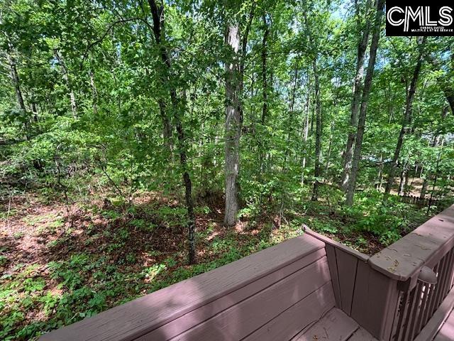 117 Locklier Drive, Blythewood, South Carolina image 37