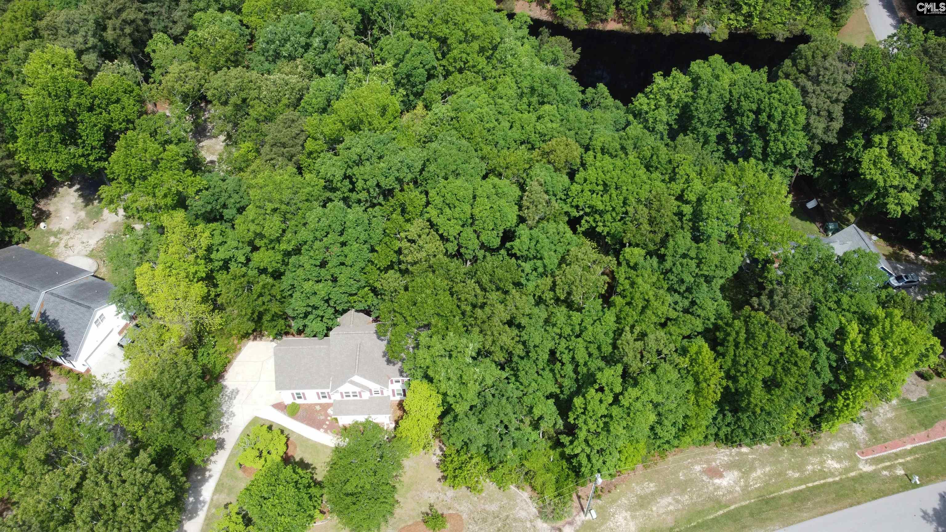 117 Locklier Road Blythewood, SC 29016