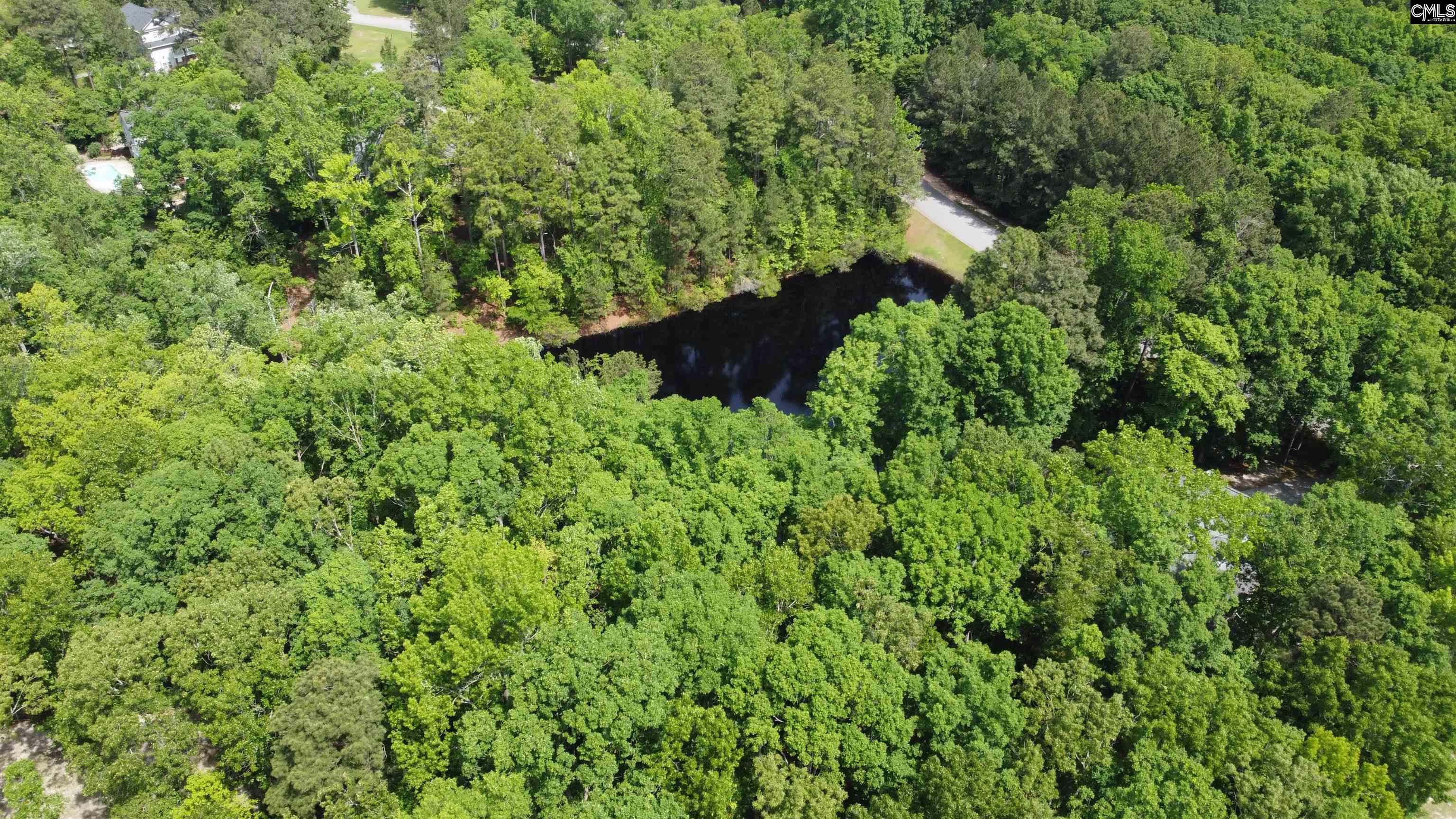 117 Locklier Road Blythewood, SC 29016