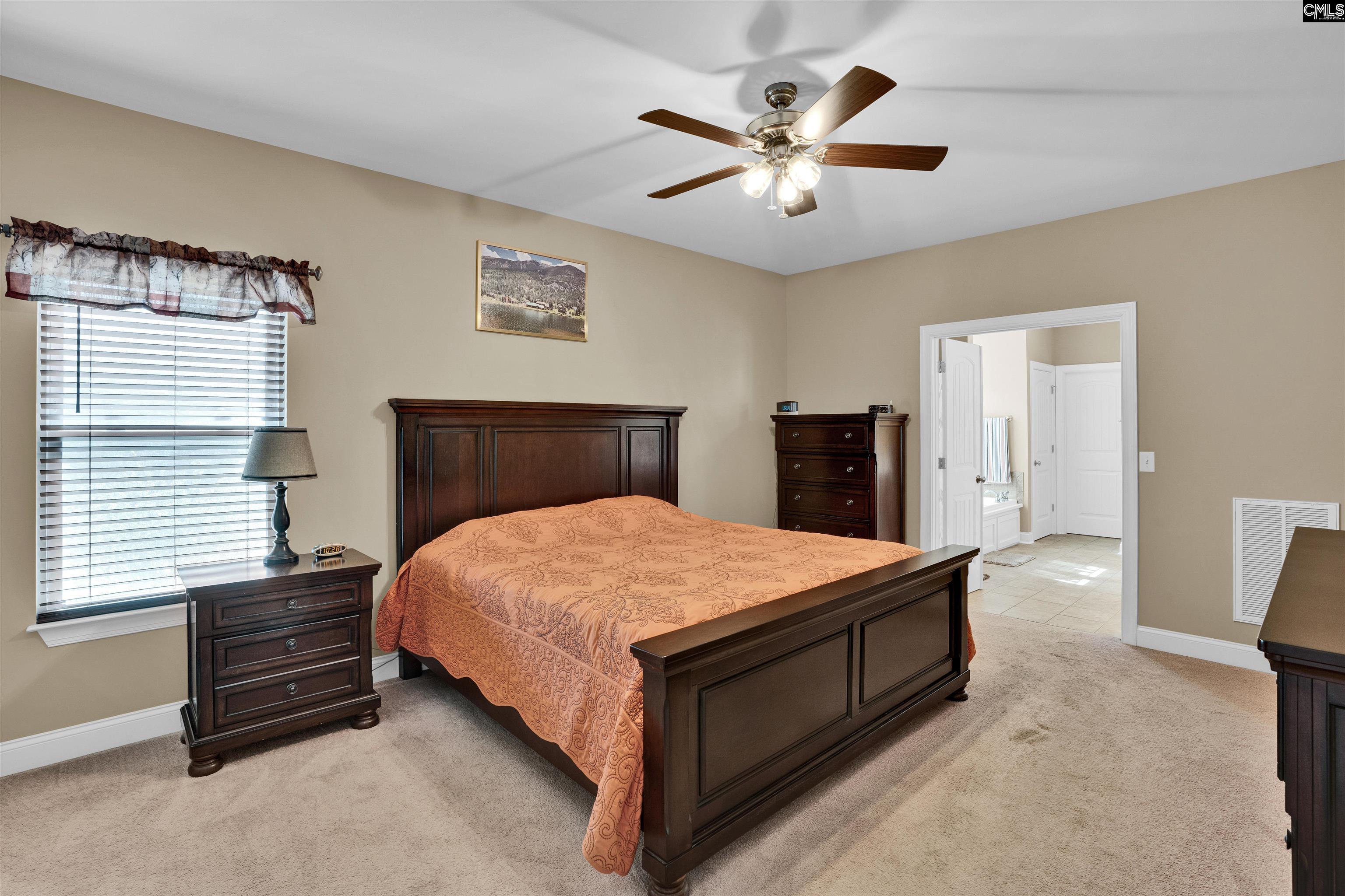 10994 Us Hwy 176, Pomaria, South Carolina image 19