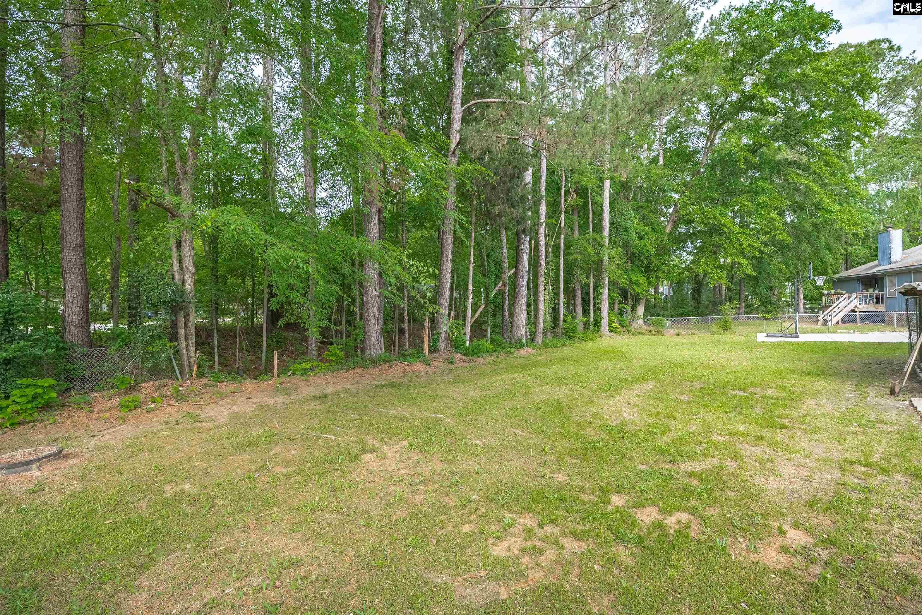 930 Chadford Road, Irmo, South Carolina image 36
