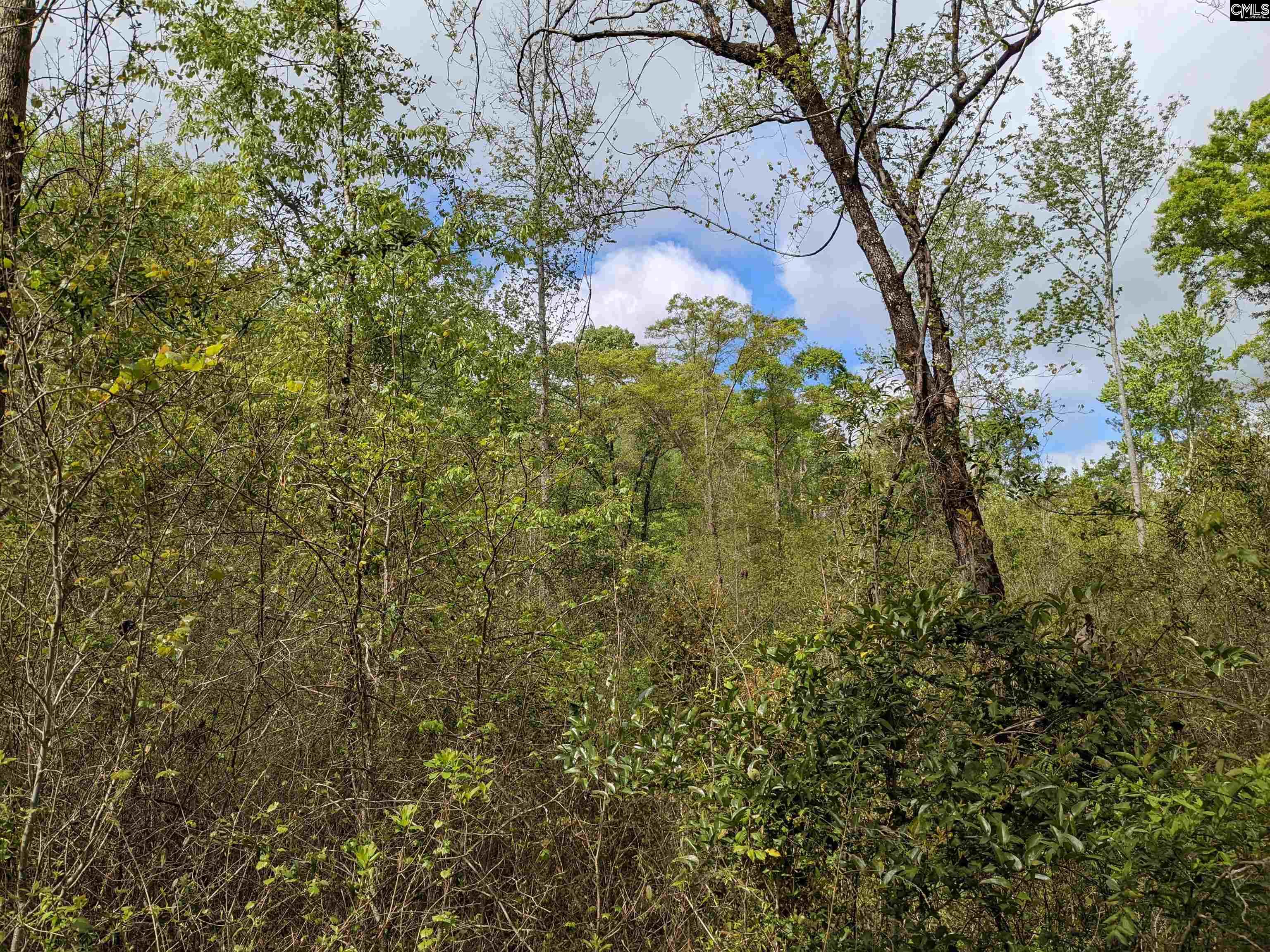 2206 Highway 1 Elgin, SC 29045