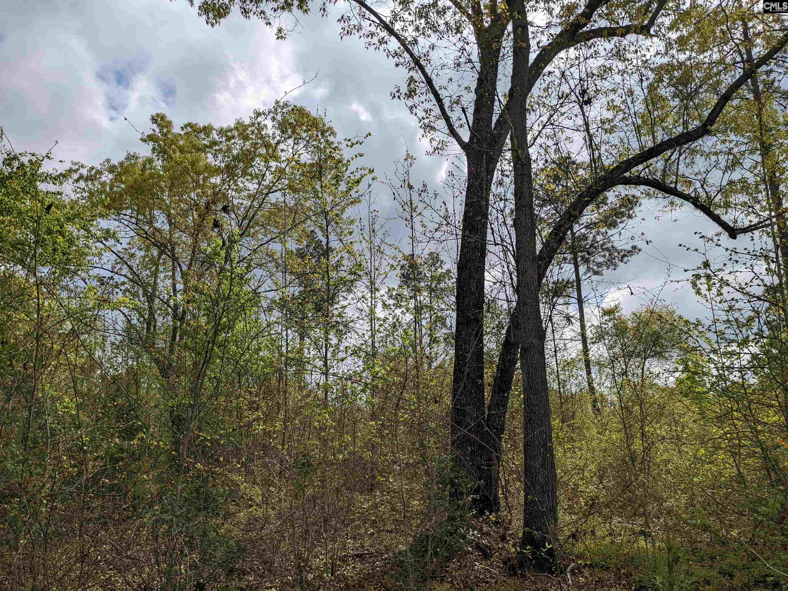2206 Highway 1 Elgin, SC 29045