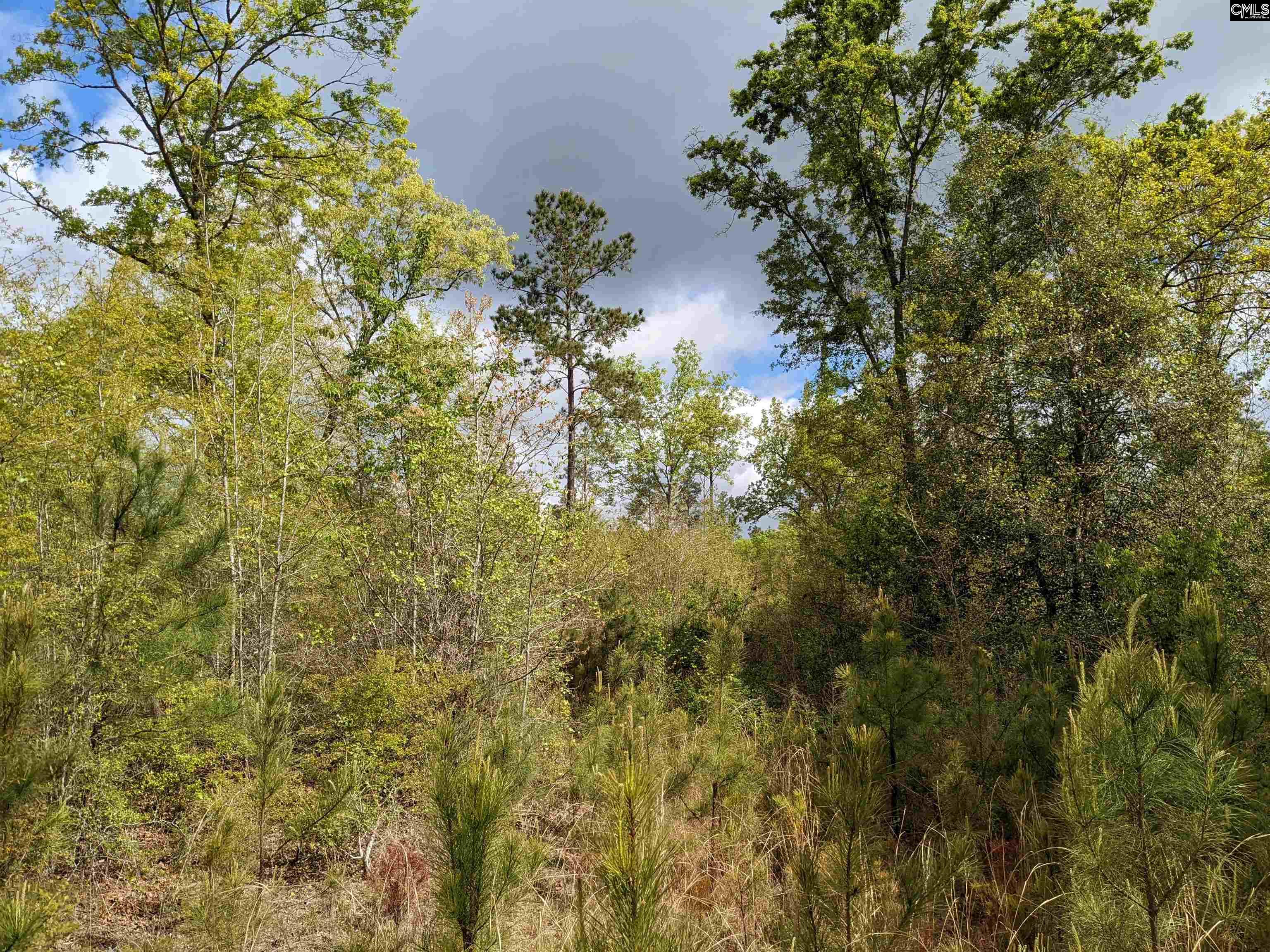 2206 Highway 1 Elgin, SC 29045
