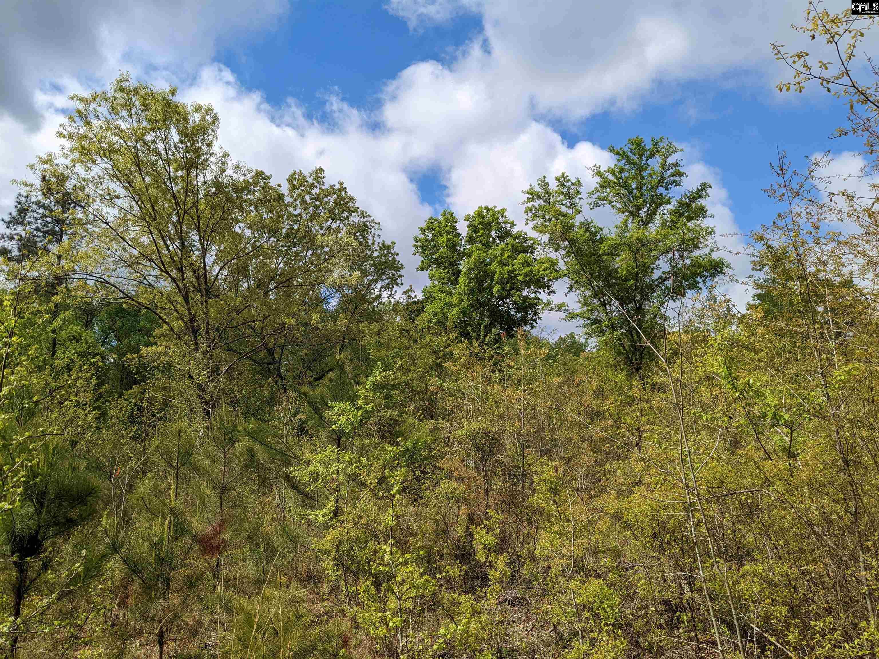2206 Highway 1 Elgin, SC 29045